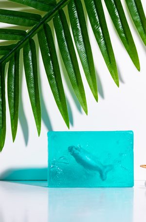 Handmade Soap Sea Plants 100gr